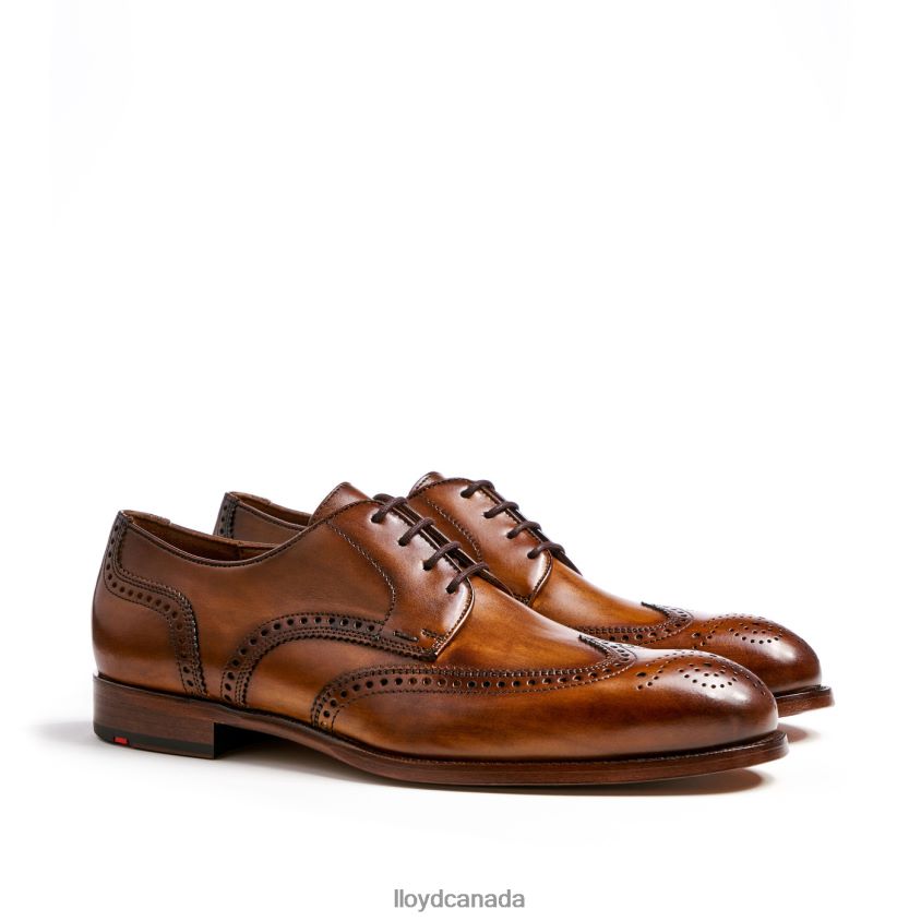 SHERIDAN LLOYD Men brown R084ZF205 Shoes