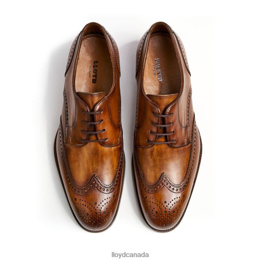 SHERIDAN LLOYD Men brown R084ZF205 Shoes