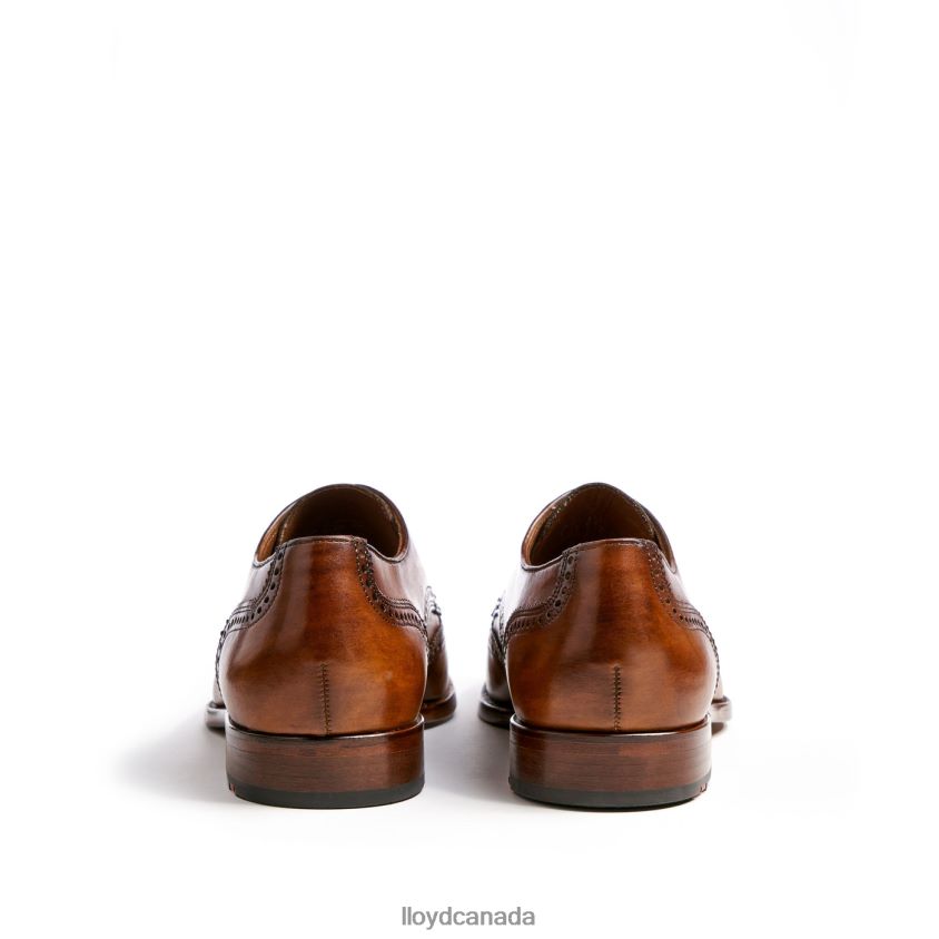 SHERIDAN LLOYD Men brown R084ZF205 Shoes