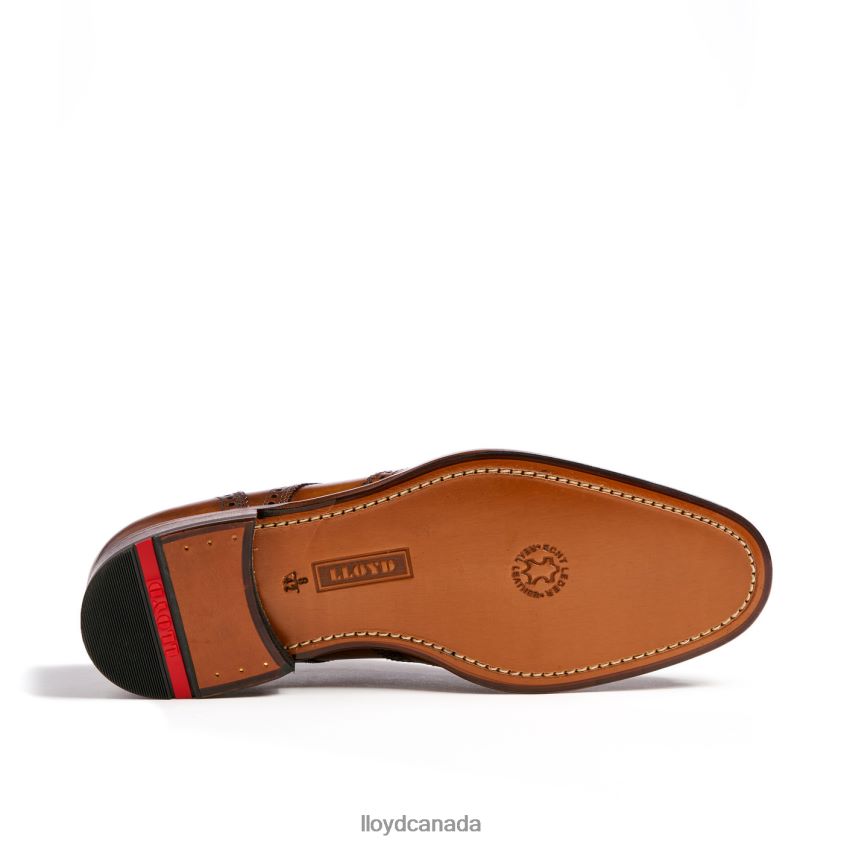 SHERIDAN LLOYD Men brown R084ZF205 Shoes