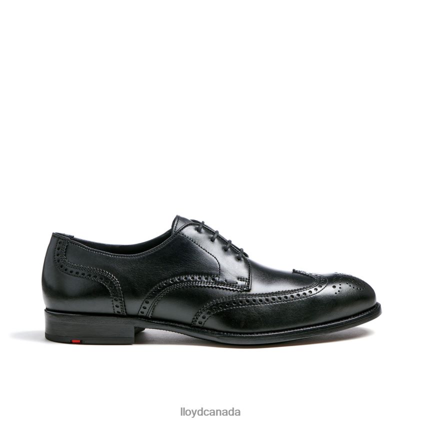 STAFFORD LLOYD Men black R084ZF68 Shoes