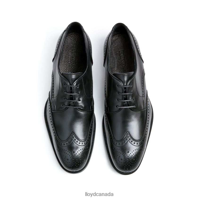 STAFFORD LLOYD Men black R084ZF68 Shoes