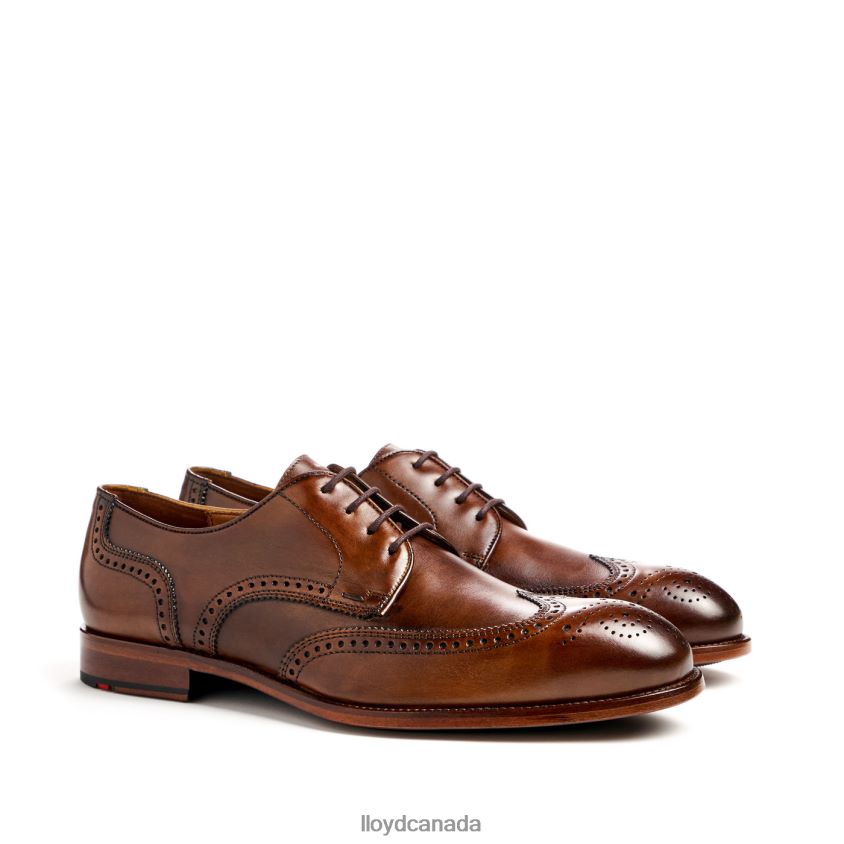 STAFFORD LLOYD Men brown R084ZF69 Shoes