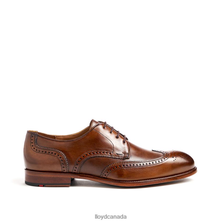 STAFFORD LLOYD Men brown R084ZF69 Shoes