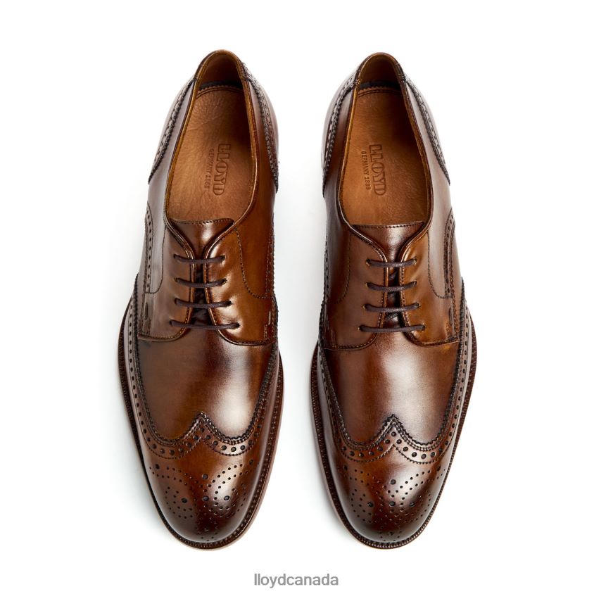STAFFORD LLOYD Men brown R084ZF69 Shoes