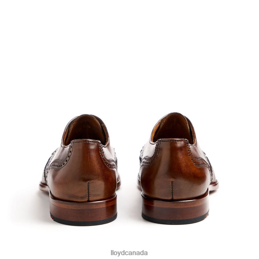 STAFFORD LLOYD Men brown R084ZF69 Shoes