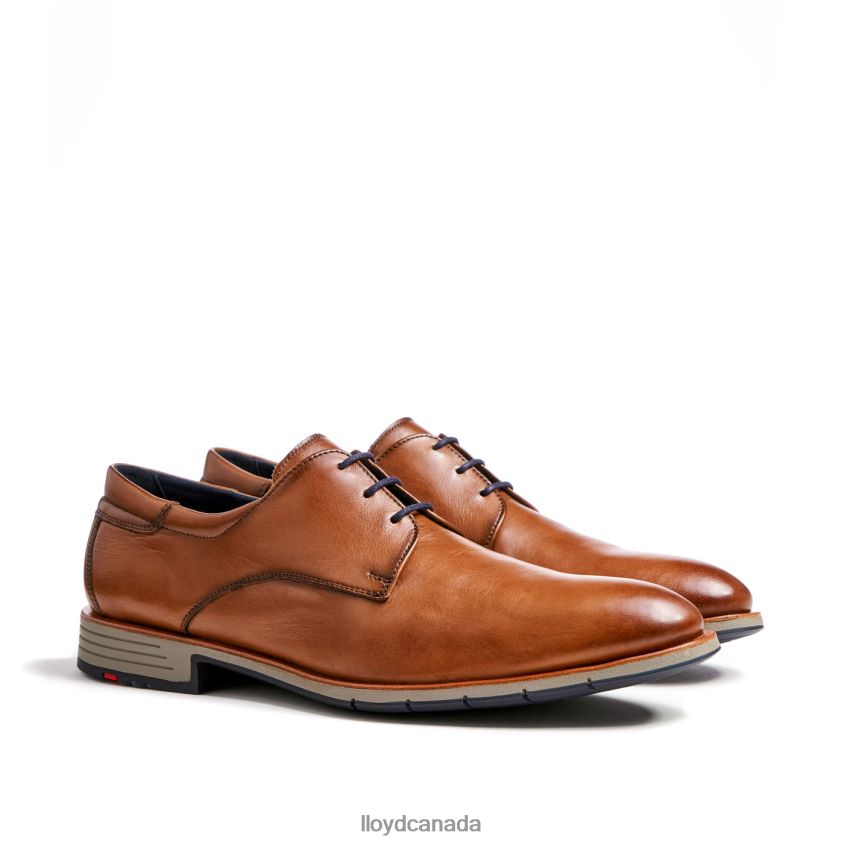 TAMBO LLOYD Men brown R084ZF23 Shoes