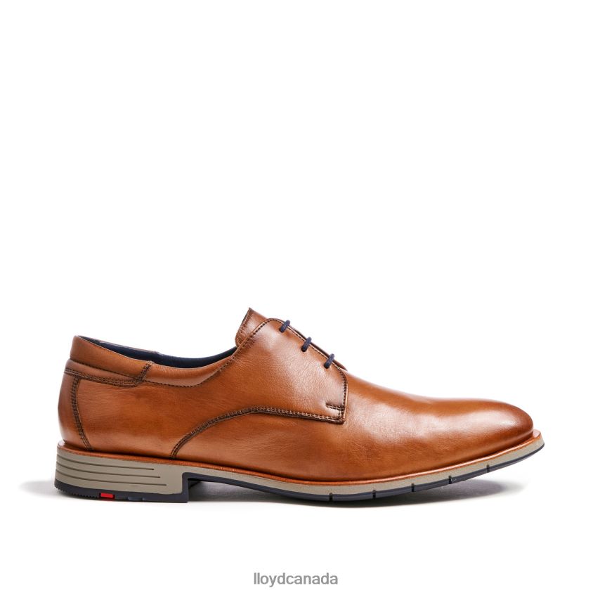 TAMBO LLOYD Men brown R084ZF23 Shoes