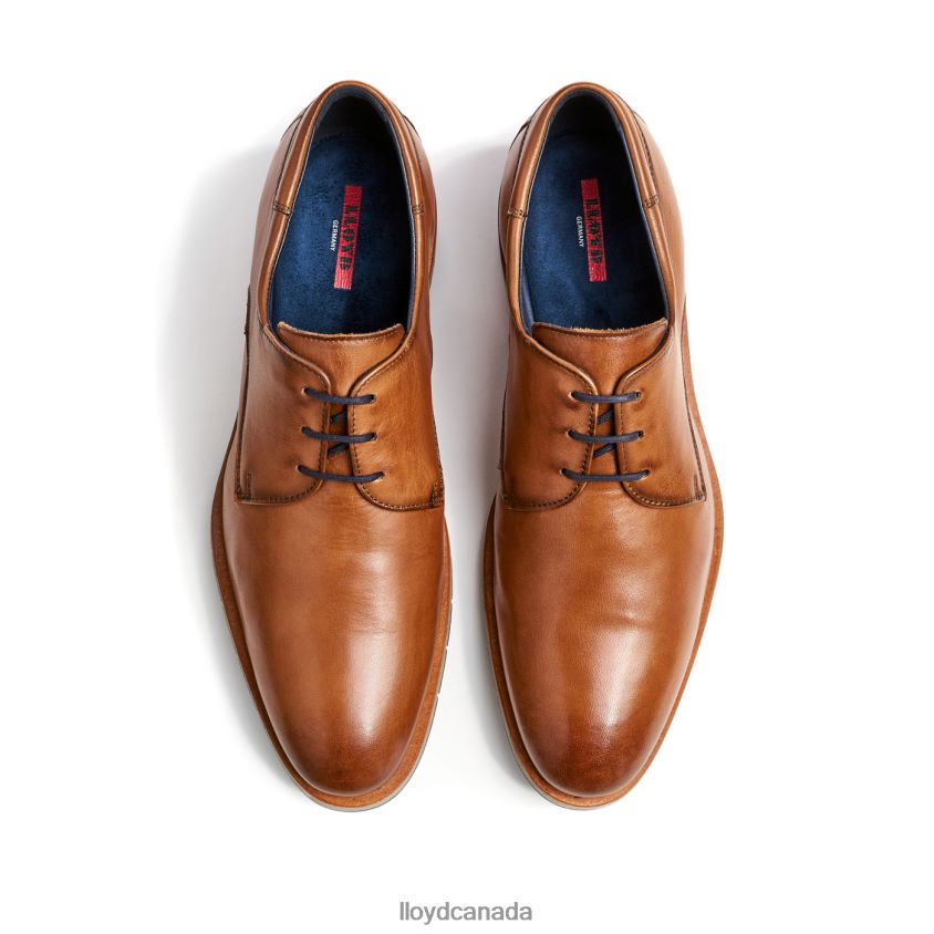 TAMBO LLOYD Men brown R084ZF23 Shoes
