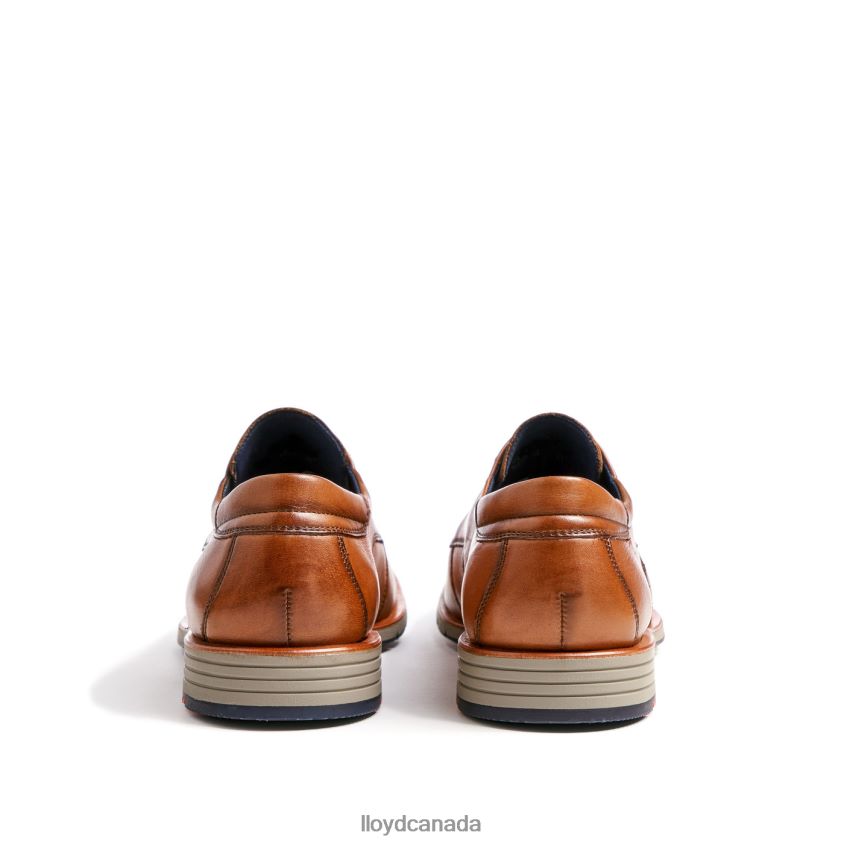 TAMBO LLOYD Men brown R084ZF23 Shoes