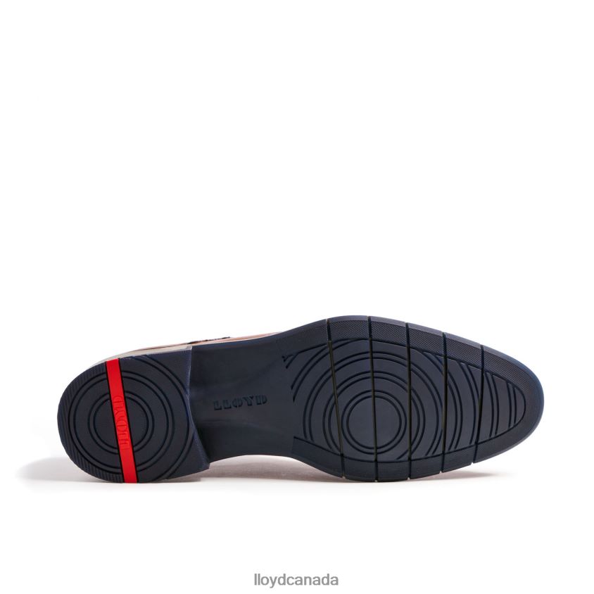 TAMBO LLOYD Men brown R084ZF23 Shoes