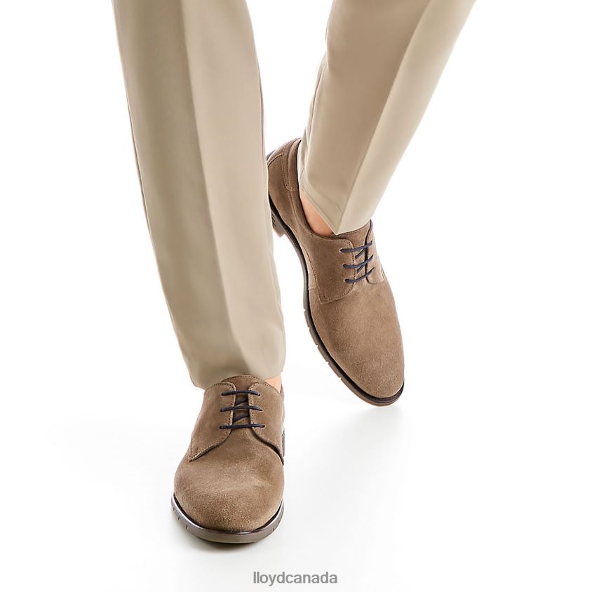 TAMBO LLOYD Men brown R084ZF92 Shoes