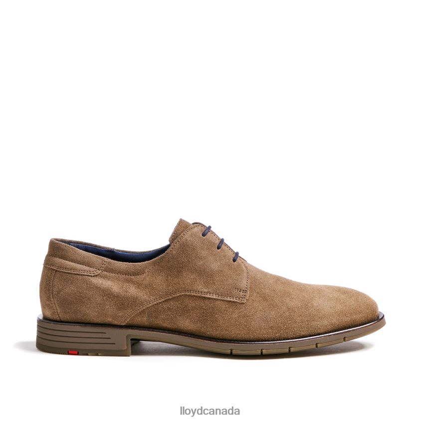 TAMBO LLOYD Men brown R084ZF92 Shoes