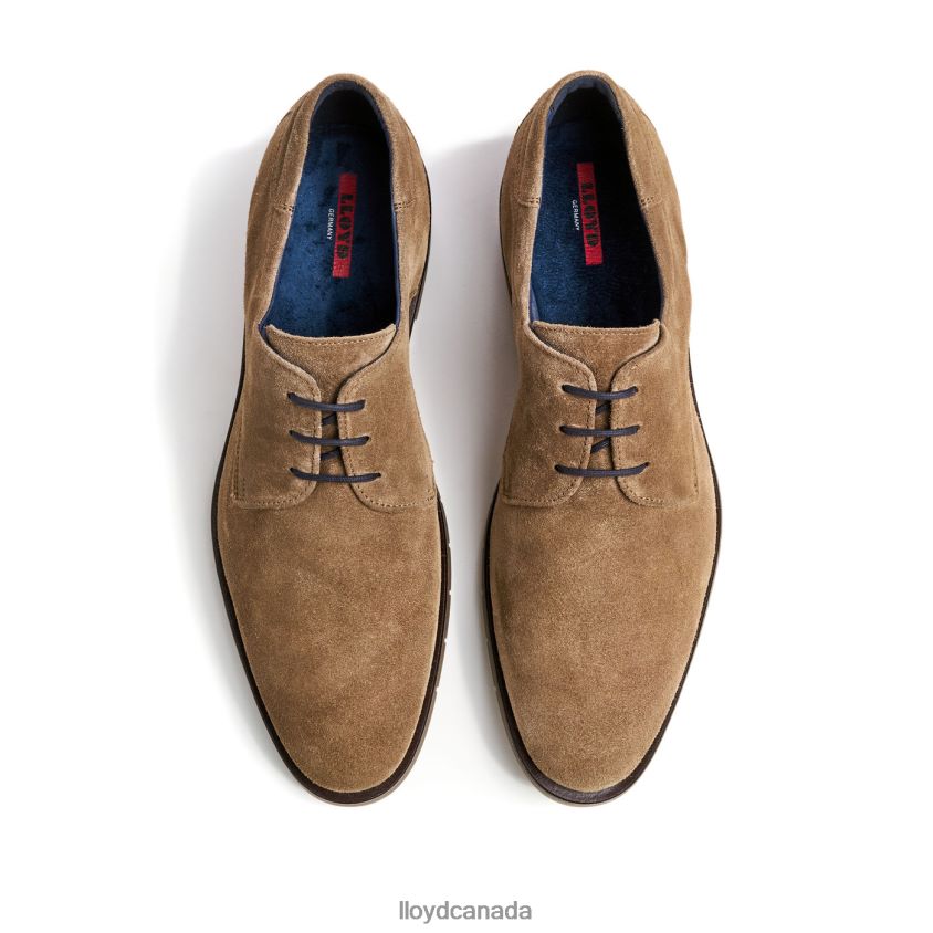 TAMBO LLOYD Men brown R084ZF92 Shoes
