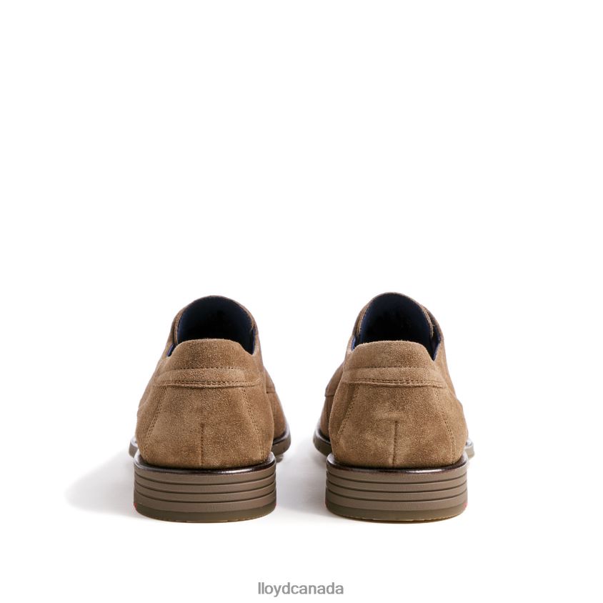 TAMBO LLOYD Men brown R084ZF92 Shoes