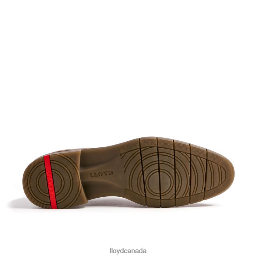 TAMBO LLOYD Men brown R084ZF92 Shoes