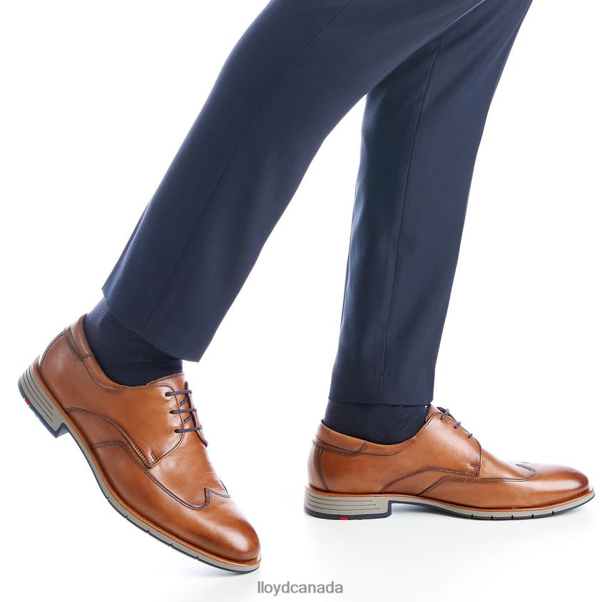 TAYLOR LLOYD Men brown R084ZF1325 Shoes