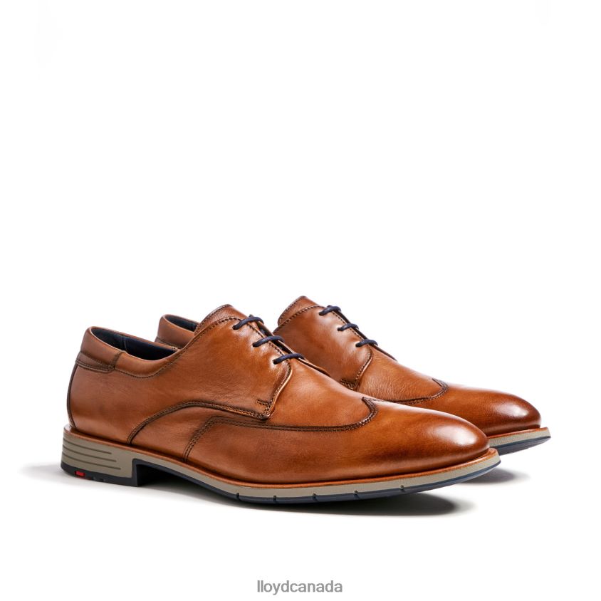 TAYLOR LLOYD Men brown R084ZF1325 Shoes