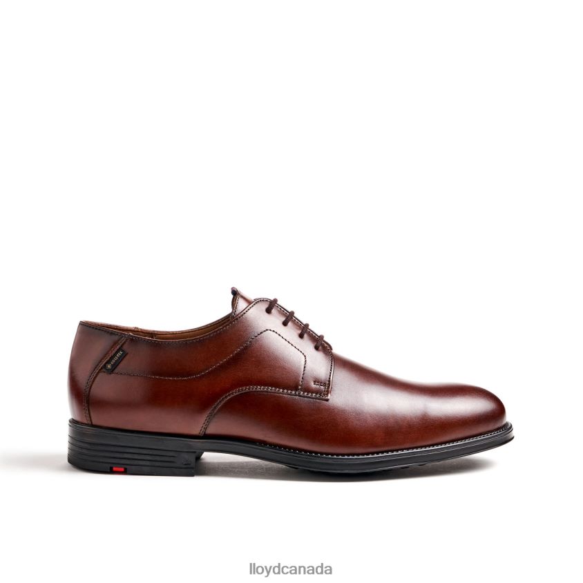 VALMARY LLOYD Men brown R084ZF22 Shoes