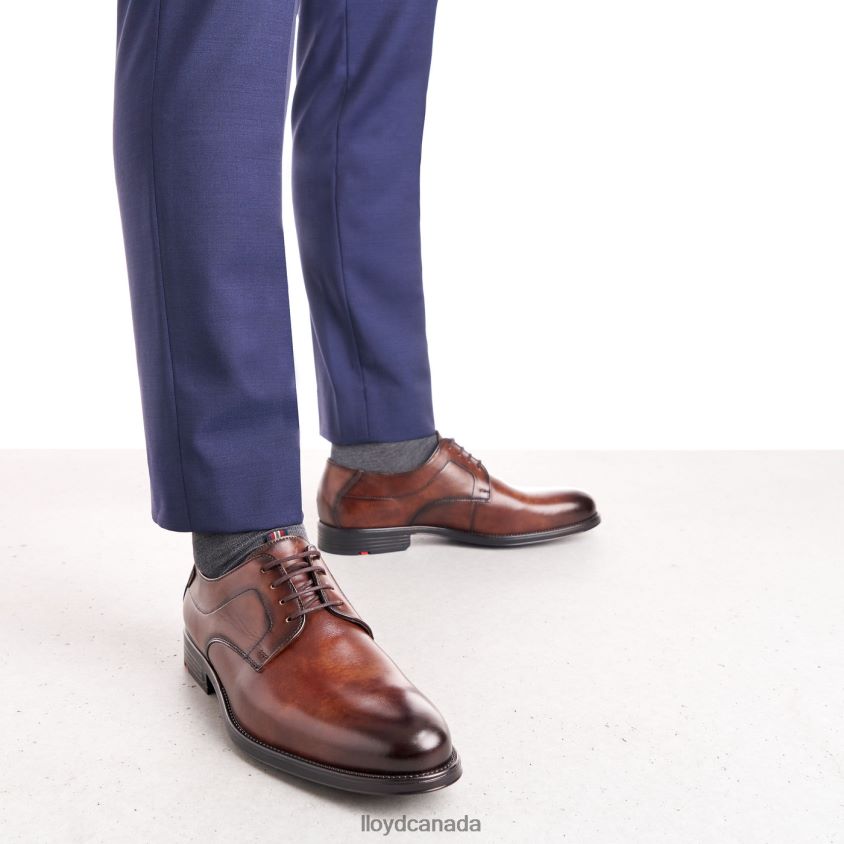 VALMARY LLOYD Men brown R084ZF22 Shoes