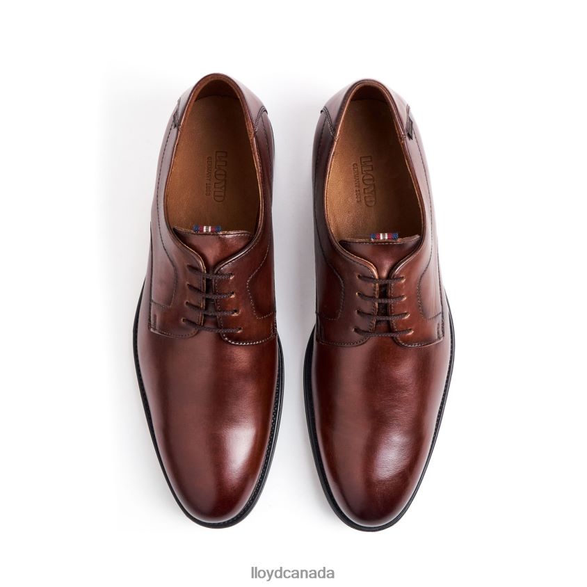VALMARY LLOYD Men brown R084ZF22 Shoes