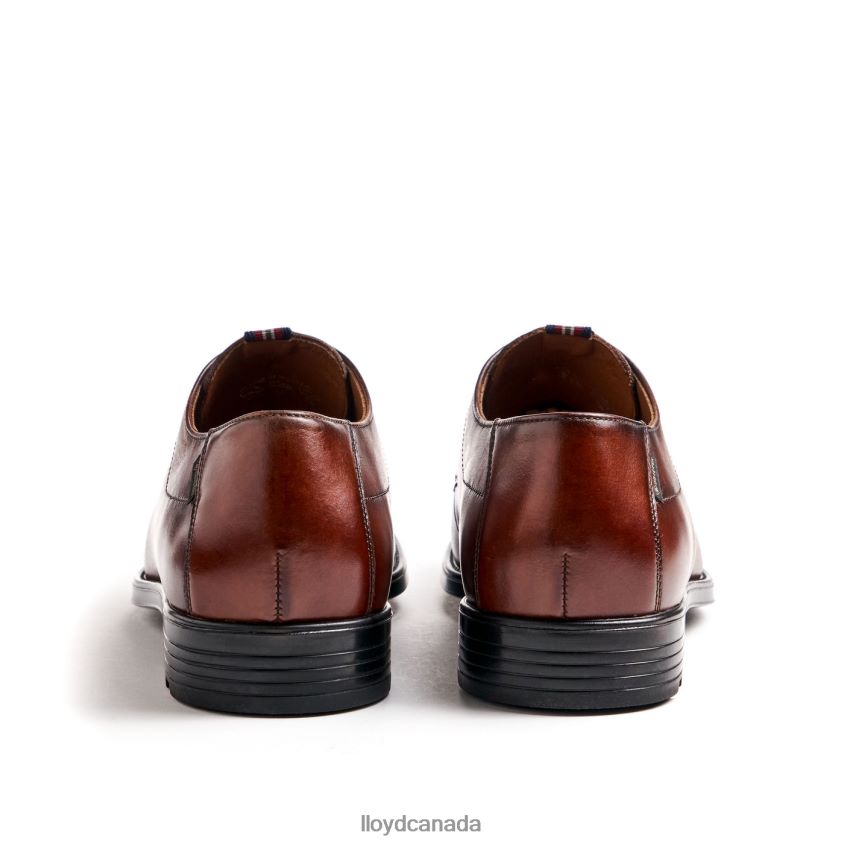 VALMARY LLOYD Men brown R084ZF22 Shoes