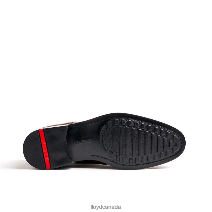 VALMARY LLOYD Men brown R084ZF22 Shoes