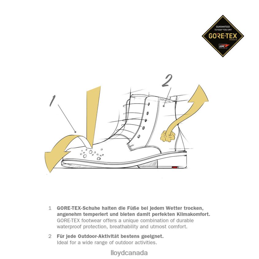VALMARY LLOYD Men brown R084ZF22 Shoes