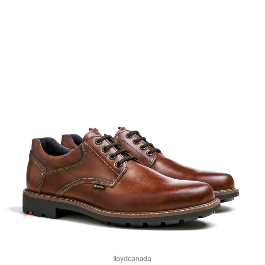 VANJA LLOYD Men brown R084ZF125 Shoes