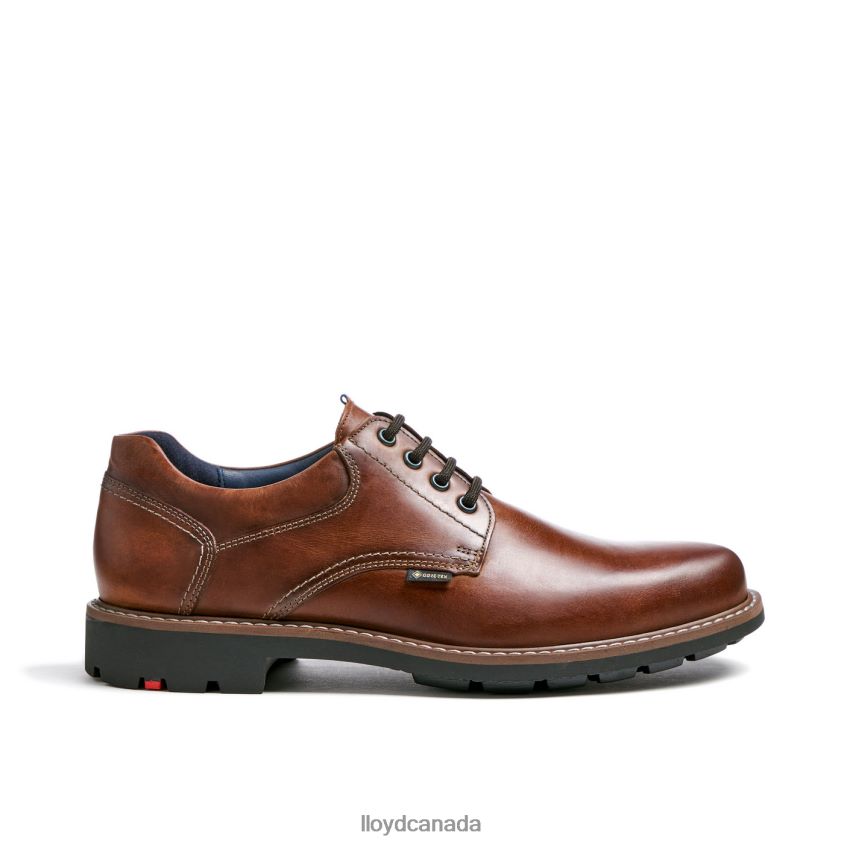 VANJA LLOYD Men brown R084ZF125 Shoes