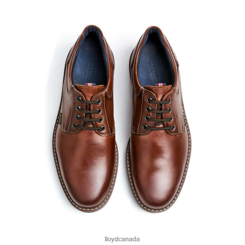 VANJA LLOYD Men brown R084ZF125 Shoes