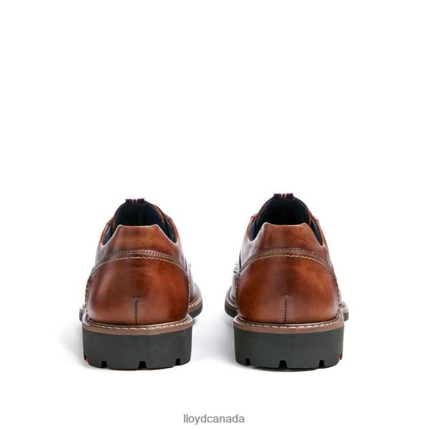 VANJA LLOYD Men brown R084ZF125 Shoes