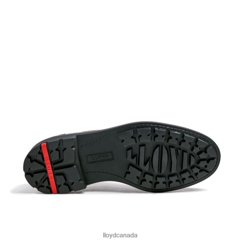 VANJA LLOYD Men brown R084ZF125 Shoes