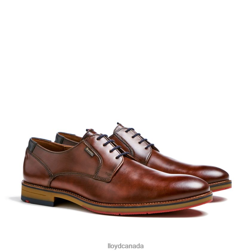 VICKERS LLOYD Men brown R084ZF122 Shoes