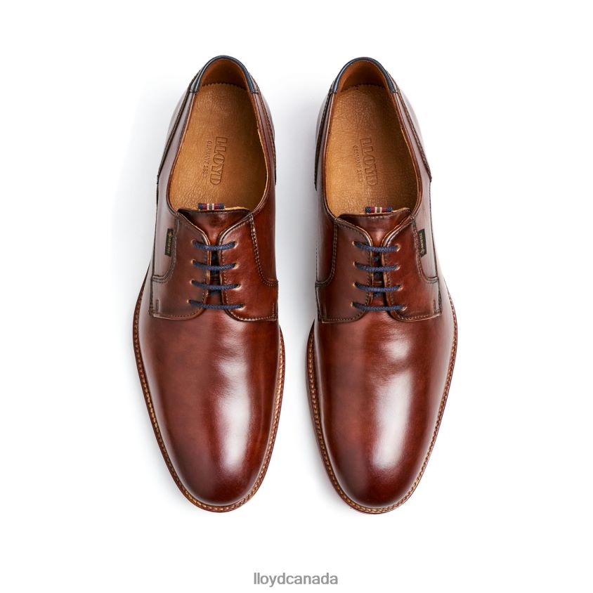 VICKERS LLOYD Men brown R084ZF122 Shoes