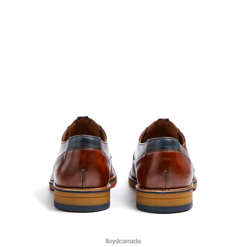 VICKERS LLOYD Men brown R084ZF122 Shoes