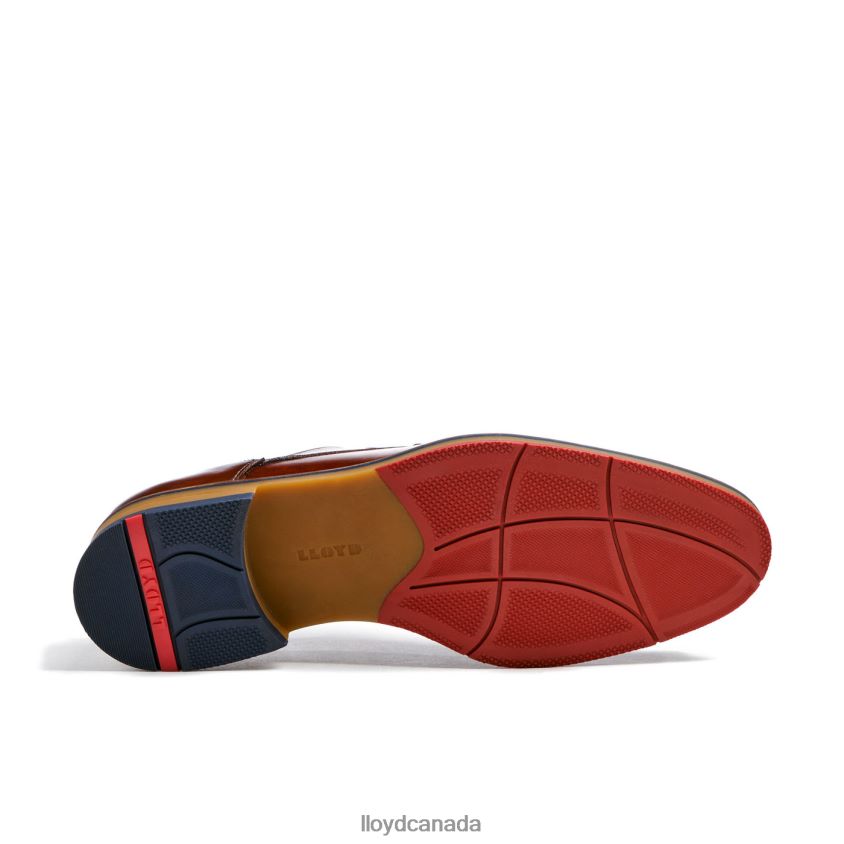 VICKERS LLOYD Men brown R084ZF122 Shoes