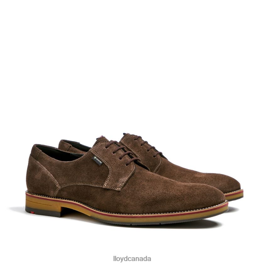 VICKERS LLOYD Men brown R084ZF7 Shoes