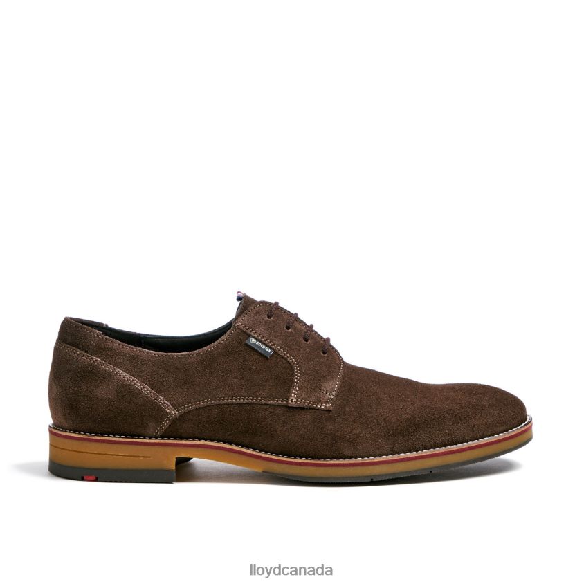 VICKERS LLOYD Men brown R084ZF7 Shoes