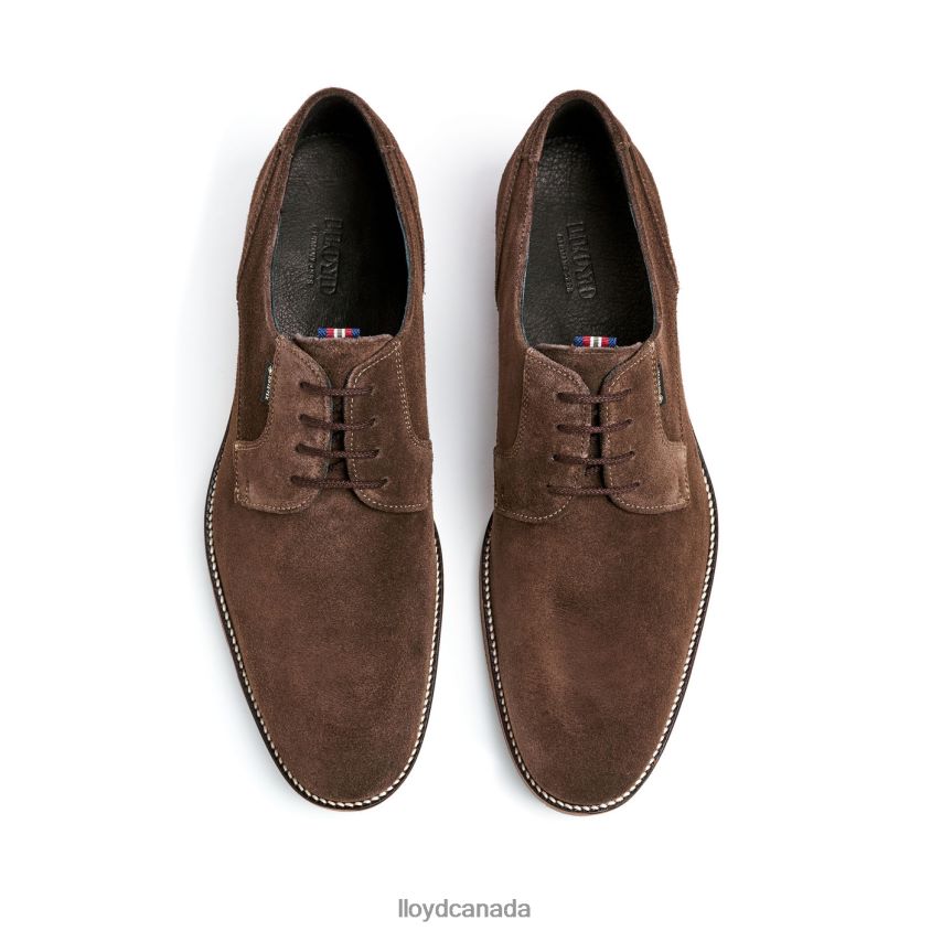 VICKERS LLOYD Men brown R084ZF7 Shoes