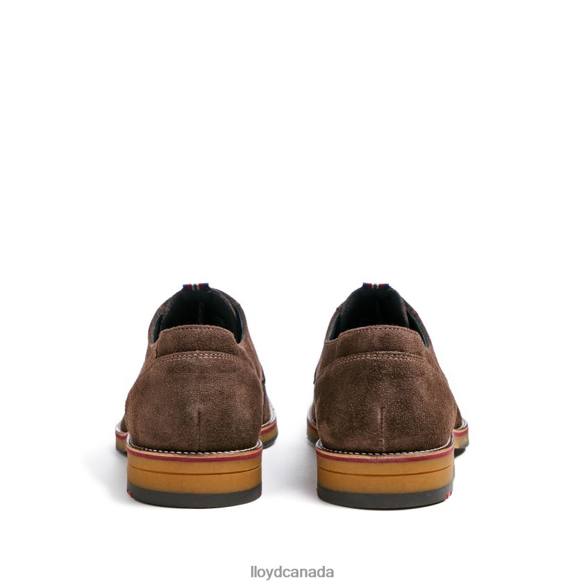 VICKERS LLOYD Men brown R084ZF7 Shoes