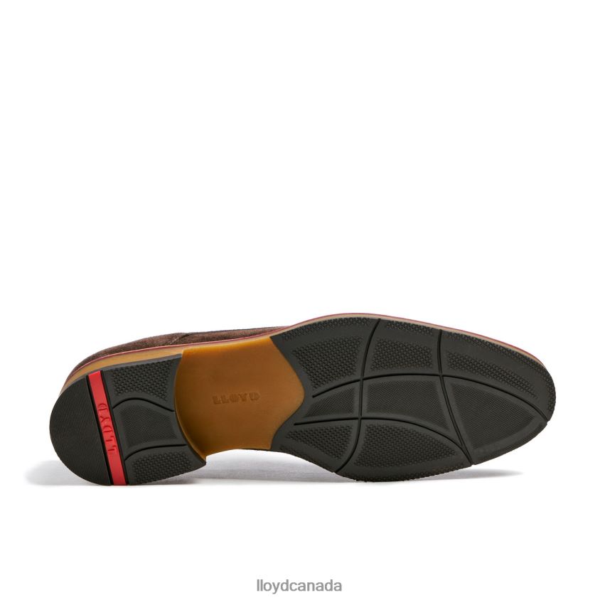 VICKERS LLOYD Men brown R084ZF7 Shoes