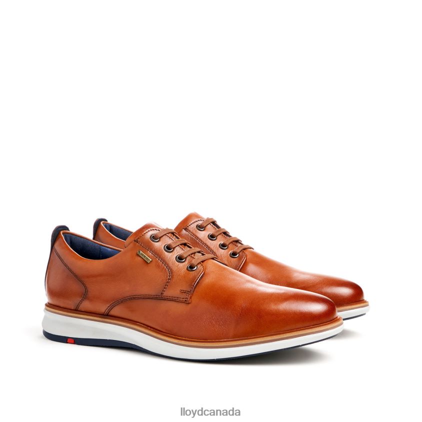 VIN LLOYD Men brown R084ZF139 Shoes