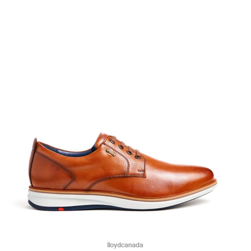 VIN LLOYD Men brown R084ZF139 Shoes