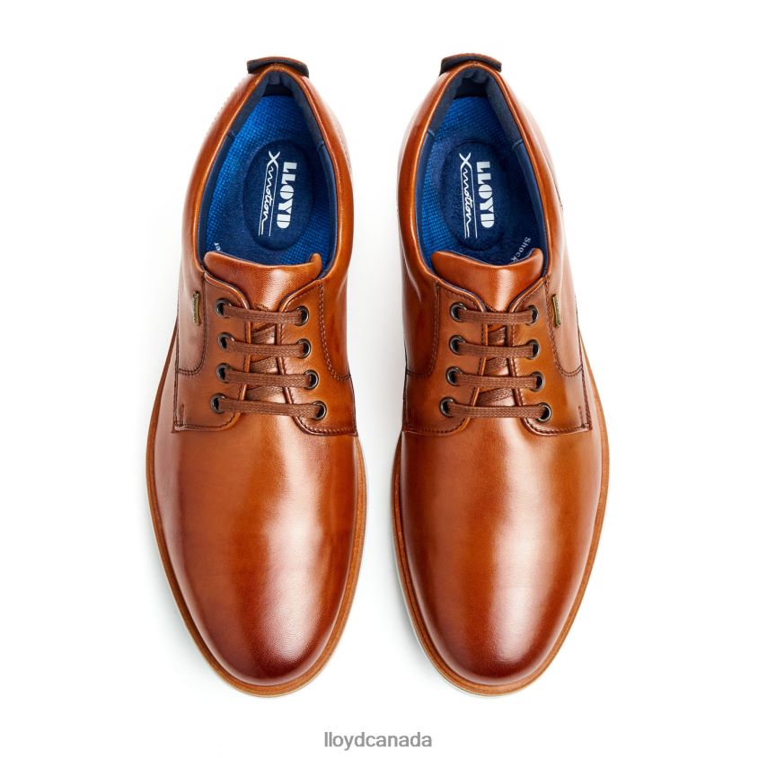VIN LLOYD Men brown R084ZF139 Shoes