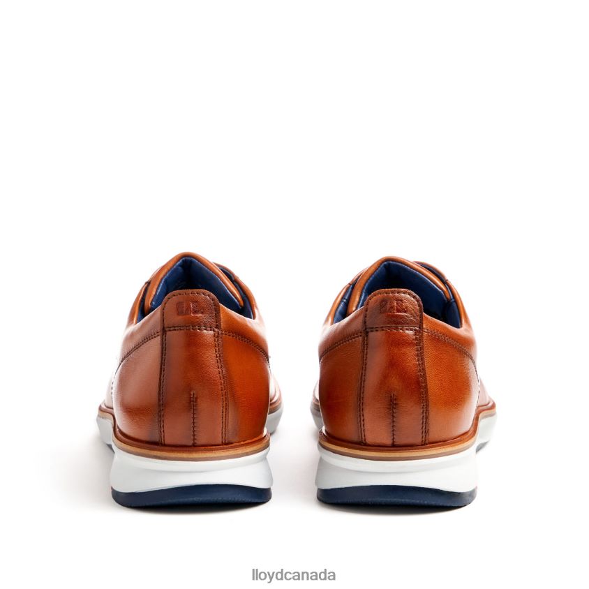 VIN LLOYD Men brown R084ZF139 Shoes