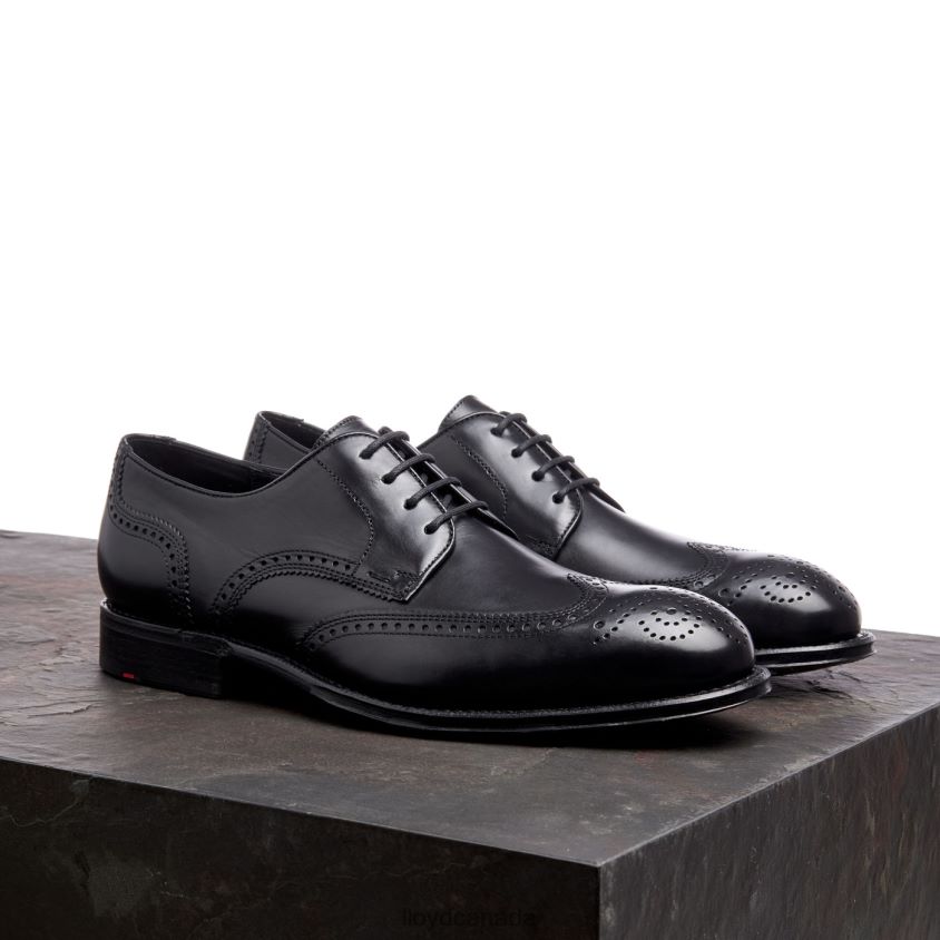 WARWICK LLOYD Men black R084ZF18 Shoes