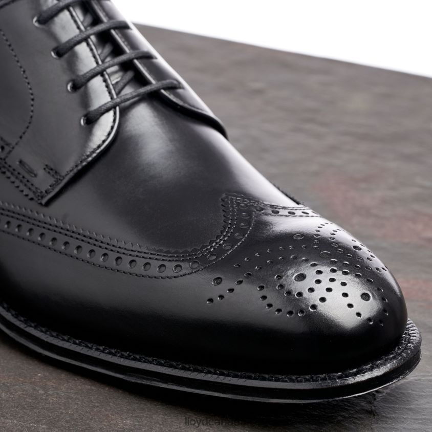 WARWICK LLOYD Men black R084ZF18 Shoes