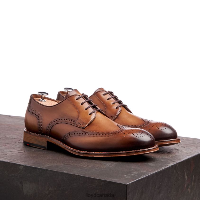 WARWICK LLOYD Men brown R084ZF74 Shoes