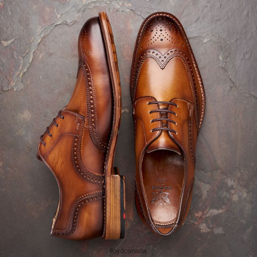 WARWICK LLOYD Men brown R084ZF74 Shoes